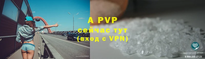 APVP СК КРИС  Асино 