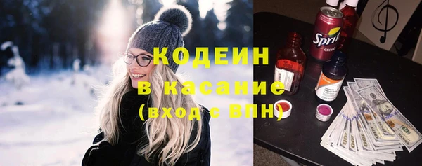прущие грибы Белая Холуница