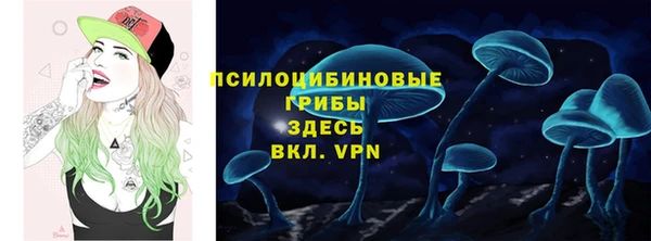 СК Покровск