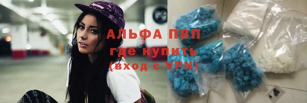 СК Покровск