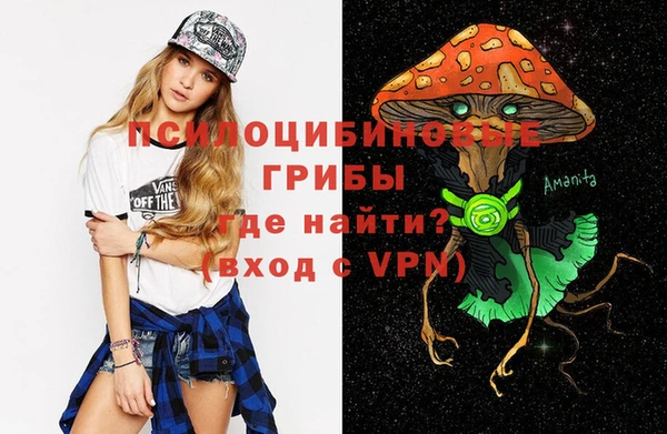 СК Покровск