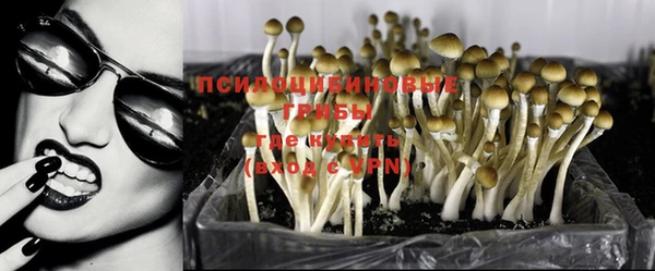 ECSTASY Вуктыл