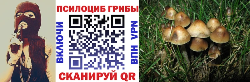 где купить наркоту  Асино  mega зеркало  Галлюциногенные грибы MAGIC MUSHROOMS 