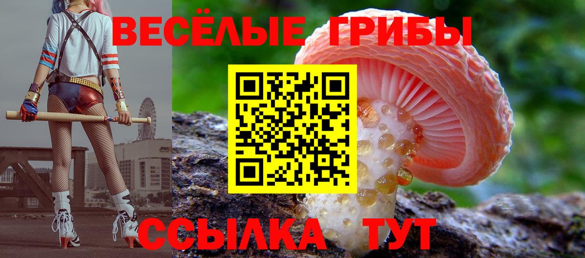 Псилоцибиновые грибы Psilocybe  Псилоцибиновые грибы GOLDEN TEACHER  сколько стоит  Вход с VPN  Асино 