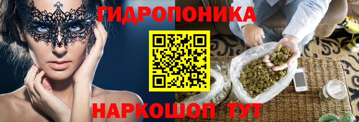 Конопля LSD WEED  Бошки марихуана MAZAR  Марихуана Ganja  Асино  Бошки Шишки Ganja 